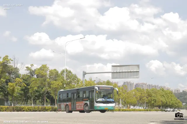 800BUS