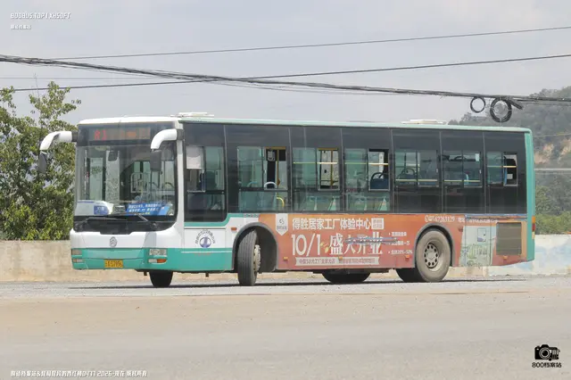 800BUS