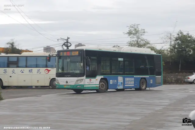 800BUS