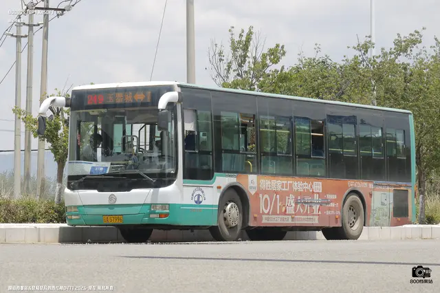 800BUS