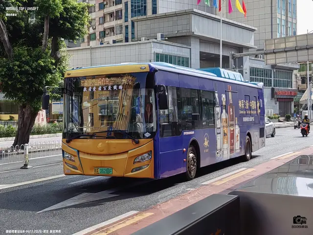800BUS