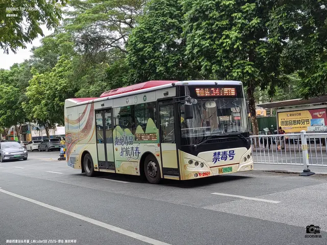800BUS