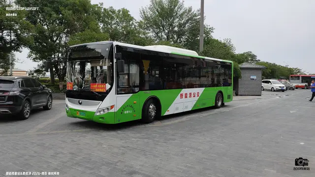 800BUS