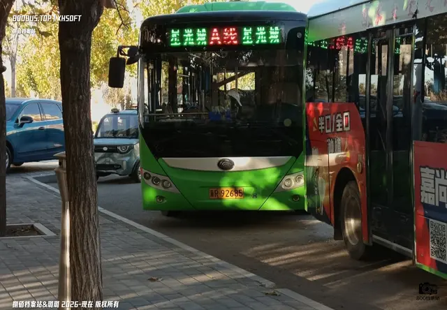 800BUS