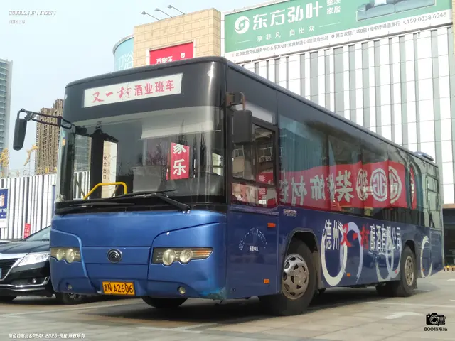 800BUS