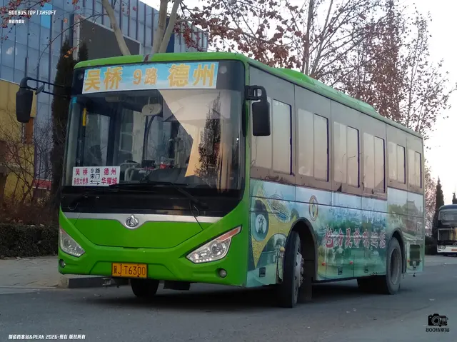 800BUS