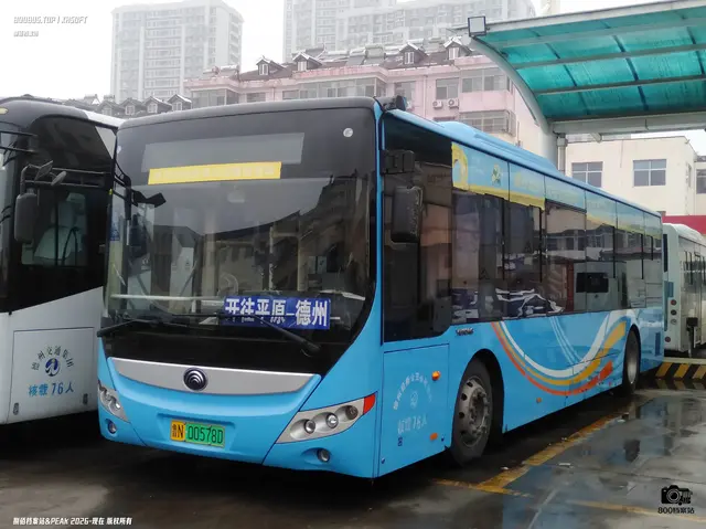 800BUS