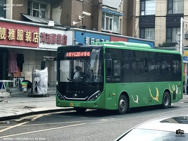 800BUS