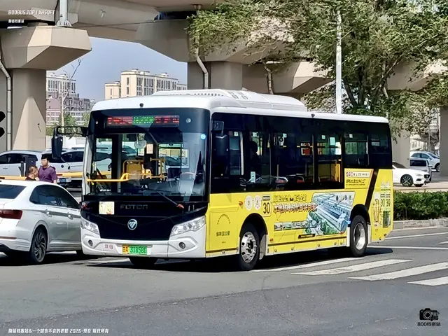 800BUS