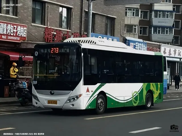 800BUS