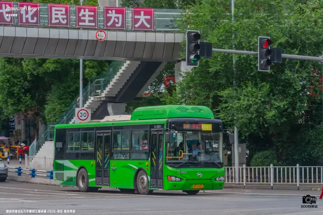 800BUS