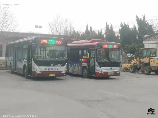 800BUS