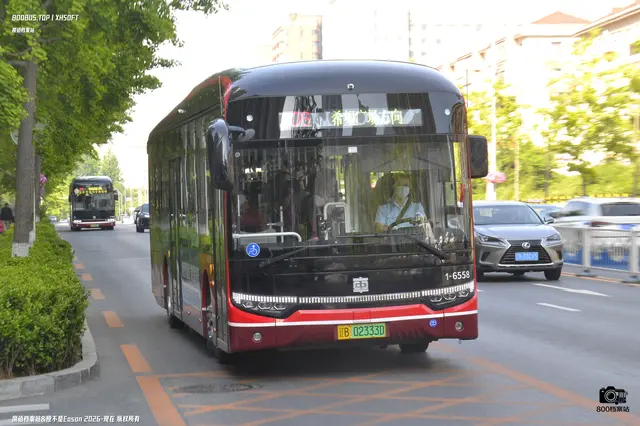 800BUS