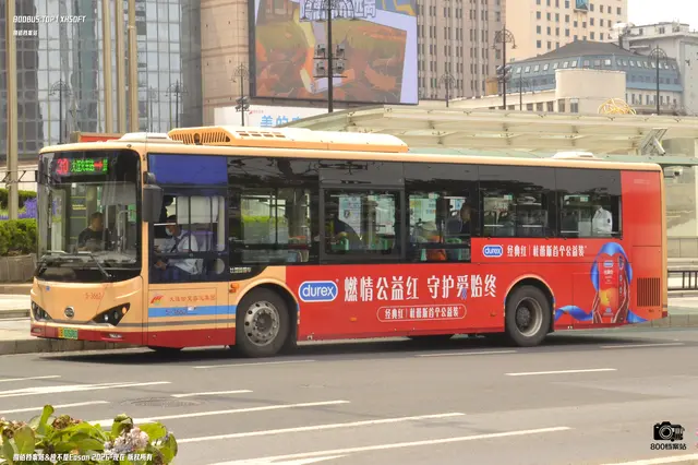 800BUS