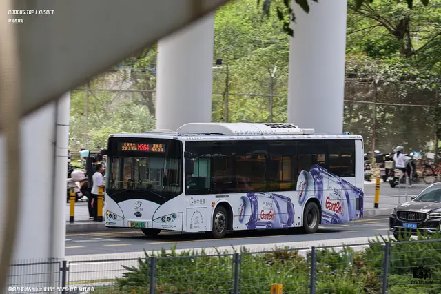 800BUS