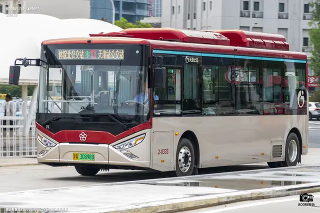 800BUS