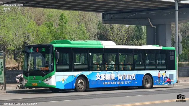 800BUS