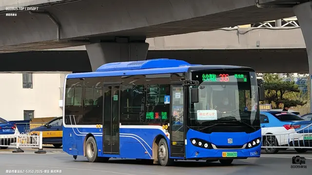 800BUS