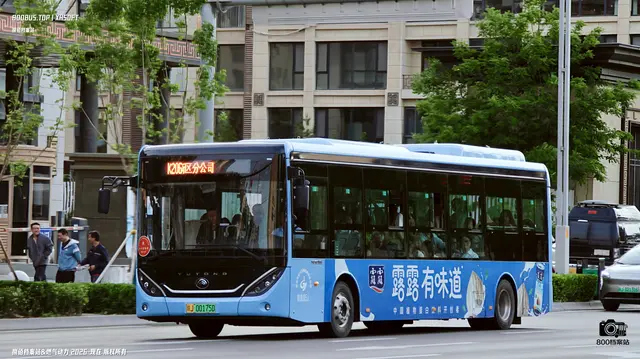 800BUS