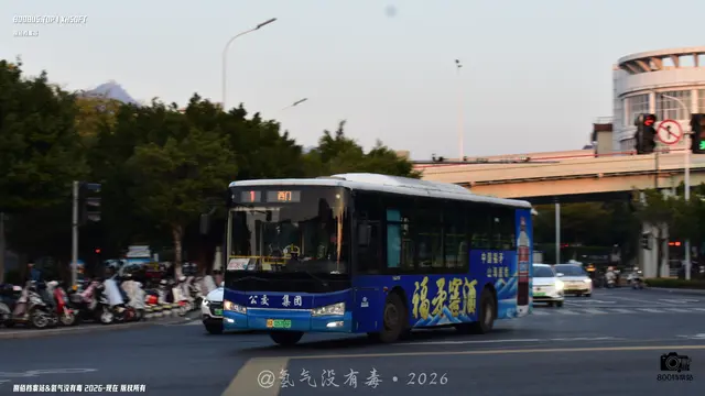800BUS