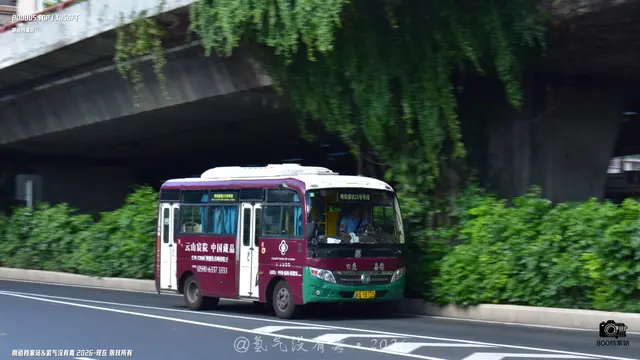 800BUS