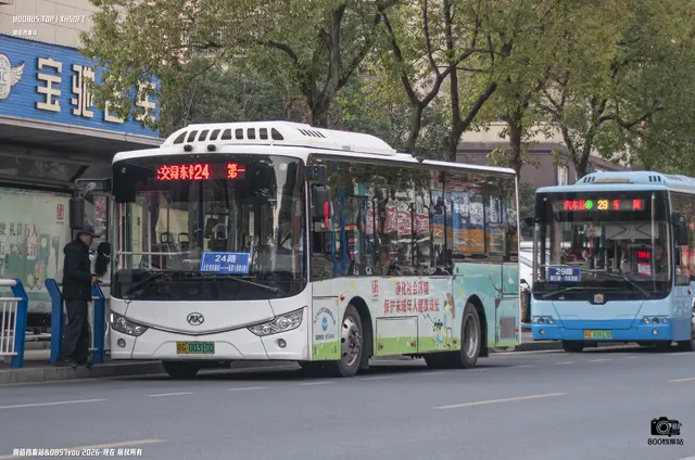 800BUS
