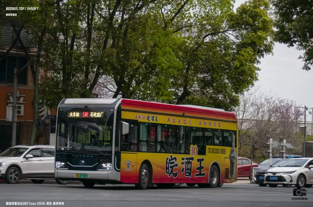 800BUS