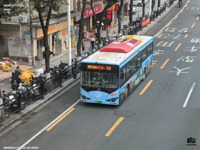 800BUS