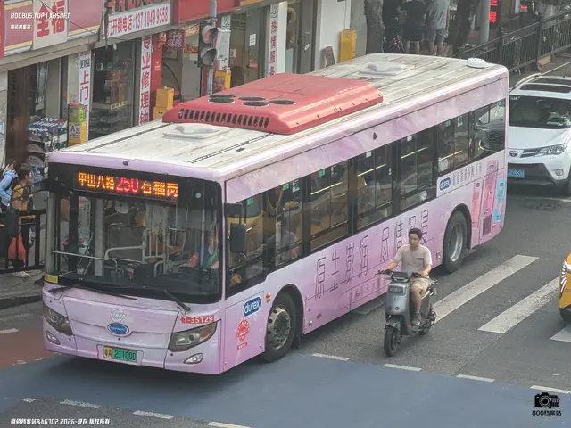 800BUS