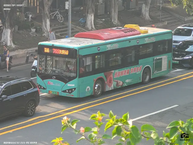 800BUS