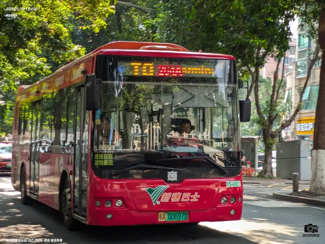 800BUS