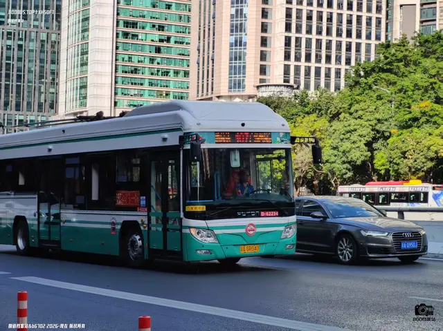 800BUS