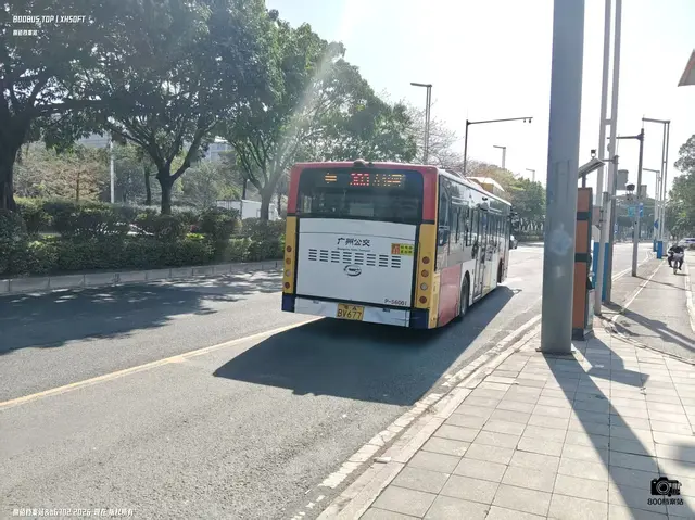800BUS