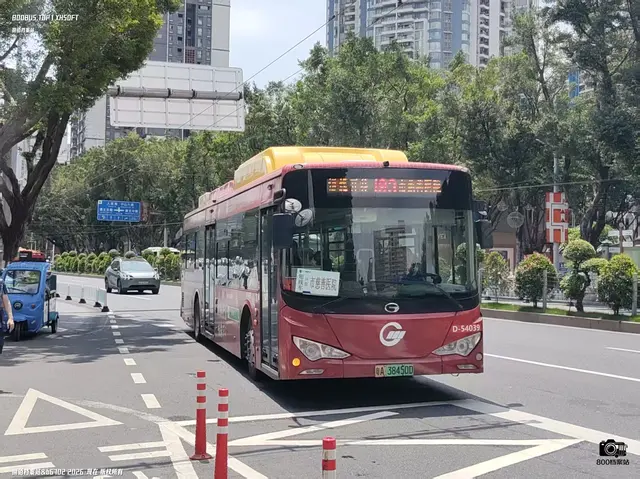 800BUS
