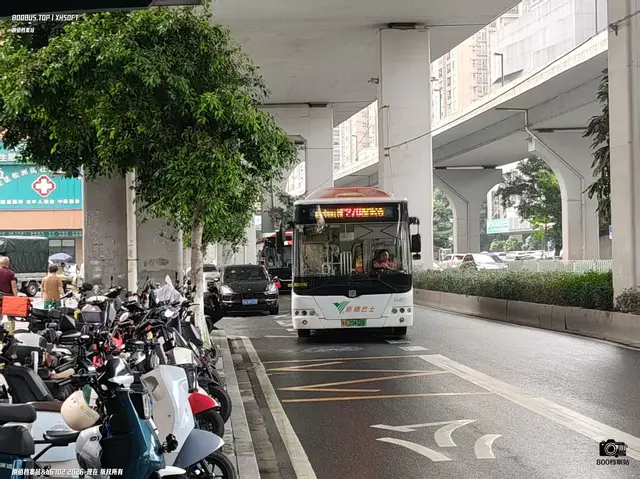 800BUS