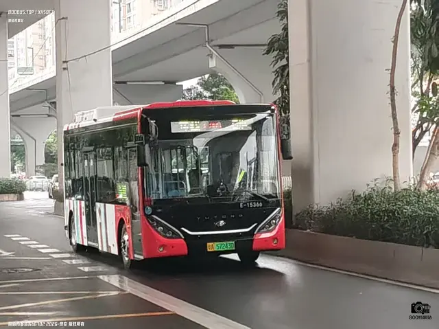 800BUS
