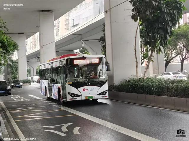 800BUS