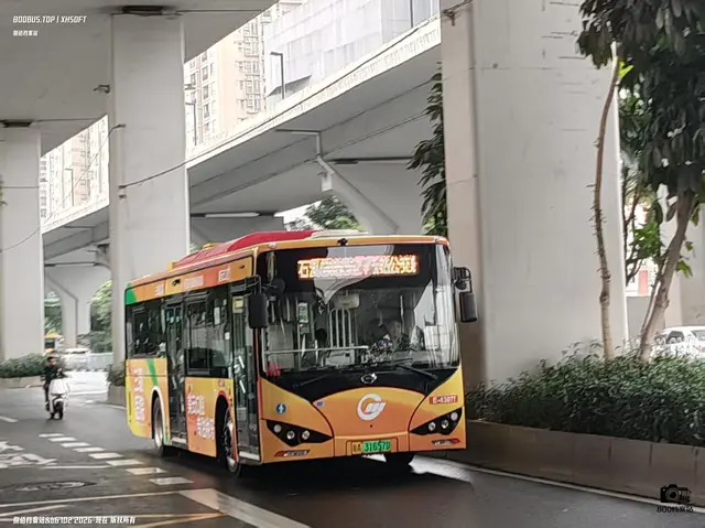800BUS