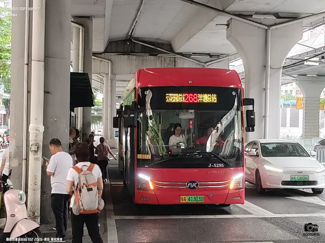 800BUS