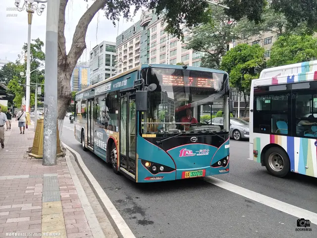 800BUS