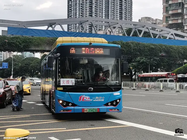 800BUS