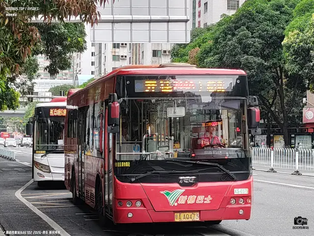 800BUS