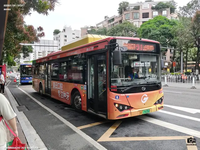 800BUS