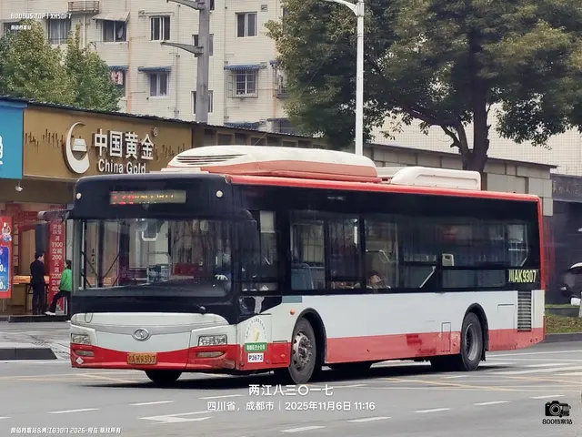 800BUS