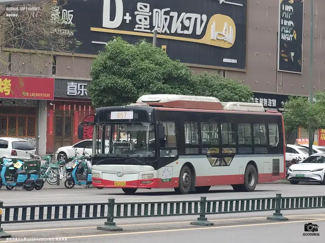 800BUS