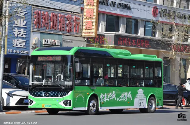 800BUS