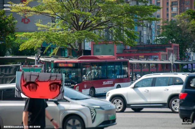 800BUS