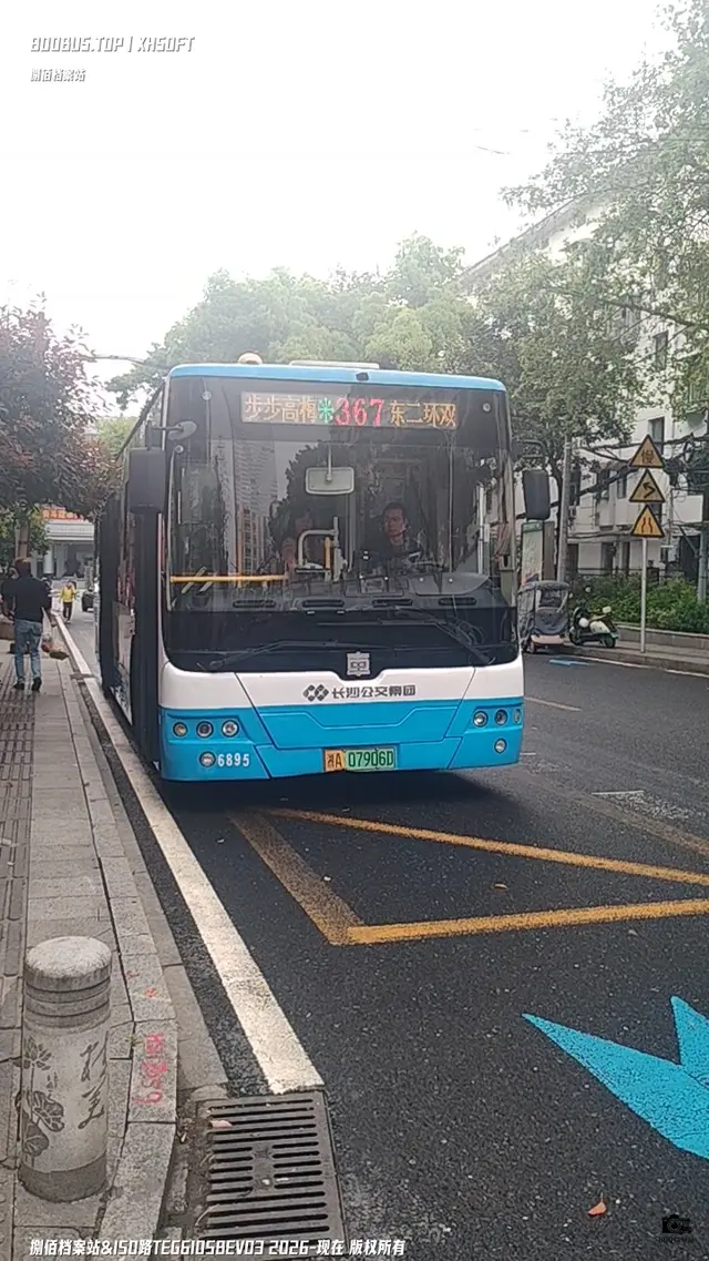 800BUS