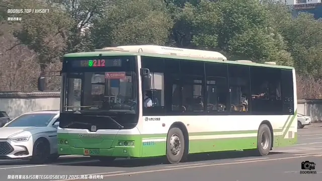 800BUS