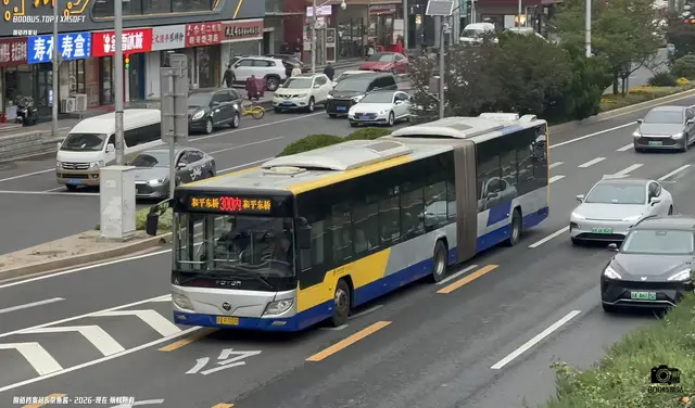 800BUS